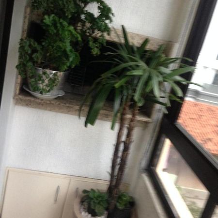 Jurere Appartement Florianópolis Buitenkant foto